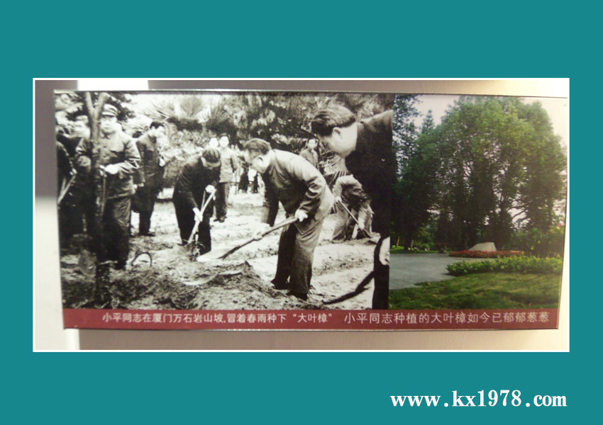 廈門特區(qū)紀(jì)念館——開寫傳記老照片(47)